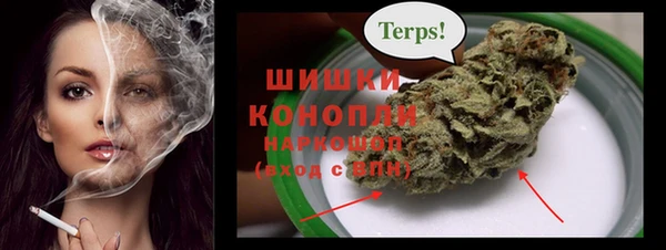 СК Володарск