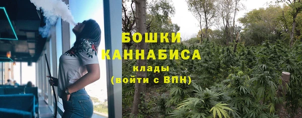 гашик Тайга