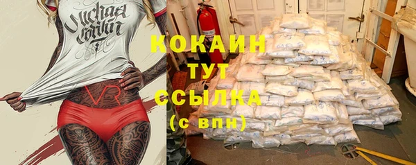 шишки Волосово
